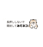 みてネコ #長押し閲覧防止スタンプ（個別スタンプ：5）