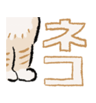 みてネコ #長押し閲覧防止スタンプ（個別スタンプ：6）