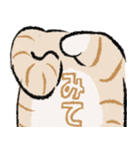 みてネコ #長押し閲覧防止スタンプ（個別スタンプ：9）