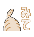 みてネコ #長押し閲覧防止スタンプ（個別スタンプ：11）