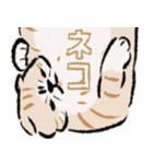 みてネコ #長押し閲覧防止スタンプ（個別スタンプ：13）