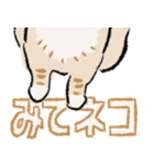 みてネコ #長押し閲覧防止スタンプ（個別スタンプ：14）
