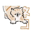 みてネコ #長押し閲覧防止スタンプ（個別スタンプ：15）
