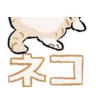 みてネコ #長押し閲覧防止スタンプ（個別スタンプ：16）