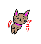 SORA☆ねこ2（個別スタンプ：3）