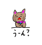 SORA☆ねこ（個別スタンプ：3）