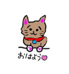 SORA☆ねこ（個別スタンプ：5）