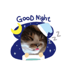 顔やばいねこちゃぁん（個別スタンプ：5）