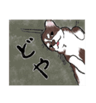 コロちゃん+スタンプ=コロンプ（個別スタンプ：13）