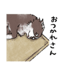 コロちゃん+スタンプ=コロンプ（個別スタンプ：34）