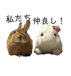 うさぎのひなの日常（個別スタンプ：7）