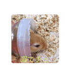 ほ乳類でチュ（個別スタンプ：2）