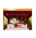 ほ乳類でチュ（個別スタンプ：3）