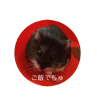ほ乳類でチュ（個別スタンプ：6）
