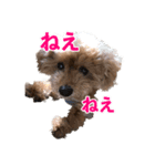ほったのハイジちゃん（個別スタンプ：3）
