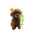 ほったのハイジちゃん（個別スタンプ：4）