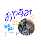親子が使うスタンプ（個別スタンプ：2）