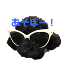 ぎんたスタンプ！！（個別スタンプ：4）
