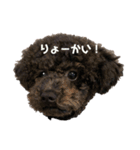 ぎんたスタンプ！！（個別スタンプ：7）