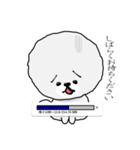 わたあめ ゆる犬トイプードル LINEスタンプ（個別スタンプ：11）