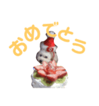 らんまるらいふ（個別スタンプ：6）