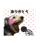 きなこの日常☆（個別スタンプ：5）