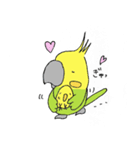 インコの心2（個別スタンプ：6）