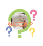 ハチワレ猫のごまちゃん♡保護猫（個別スタンプ：4）
