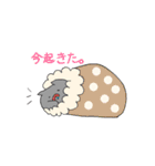 ブリティッシュショートヘアの日常（個別スタンプ：4）