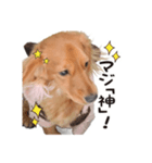 あられ日和（個別スタンプ：2）