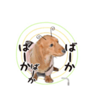 あられ日和（個別スタンプ：4）