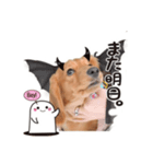 あられ日和（個別スタンプ：8）