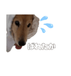 Lkun（個別スタンプ：2）