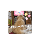 Lkun（個別スタンプ：7）