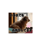 Lkun（個別スタンプ：8）