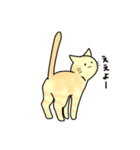 なんとも言えないねこたち。2（個別スタンプ：3）