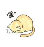 なんとも言えないねこたち。2（個別スタンプ：6）