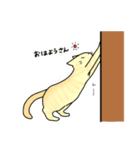 なんとも言えないねこたち。2（個別スタンプ：11）