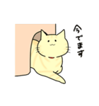 なんとも言えないねこたち。2（個別スタンプ：38）
