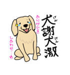 ゆるゆる犬のまいにち（個別スタンプ：3）