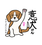 ゆるゆる犬のまいにち（個別スタンプ：7）