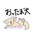 ゆるゆる犬のまいにち（個別スタンプ：8）
