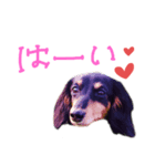 ぽっきーちゃんすたんぷ（個別スタンプ：8）