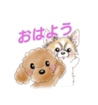 MOCO and CARRERA（個別スタンプ：1）