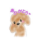 MOCO and CARRERA（個別スタンプ：3）
