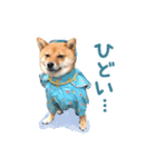 豆柴ななちゃんのスタンプ（個別スタンプ：1）