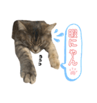 メルピーのスタンプ（個別スタンプ：2）