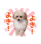 リル・もぅふくんのスタンプ（個別スタンプ：2）