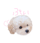 リル・もぅふくんのスタンプ（個別スタンプ：3）
