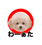 リル・もぅふくんのスタンプ（個別スタンプ：5）